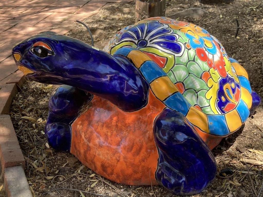 Casa Azul - Cute Centrally Located Adobe With Large Fenced Outdoor Living For Pets And Adults, Non-Smoking Tucson Exteriör bild